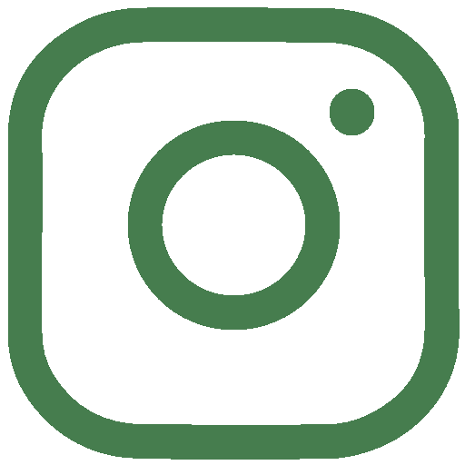 Instagram icon