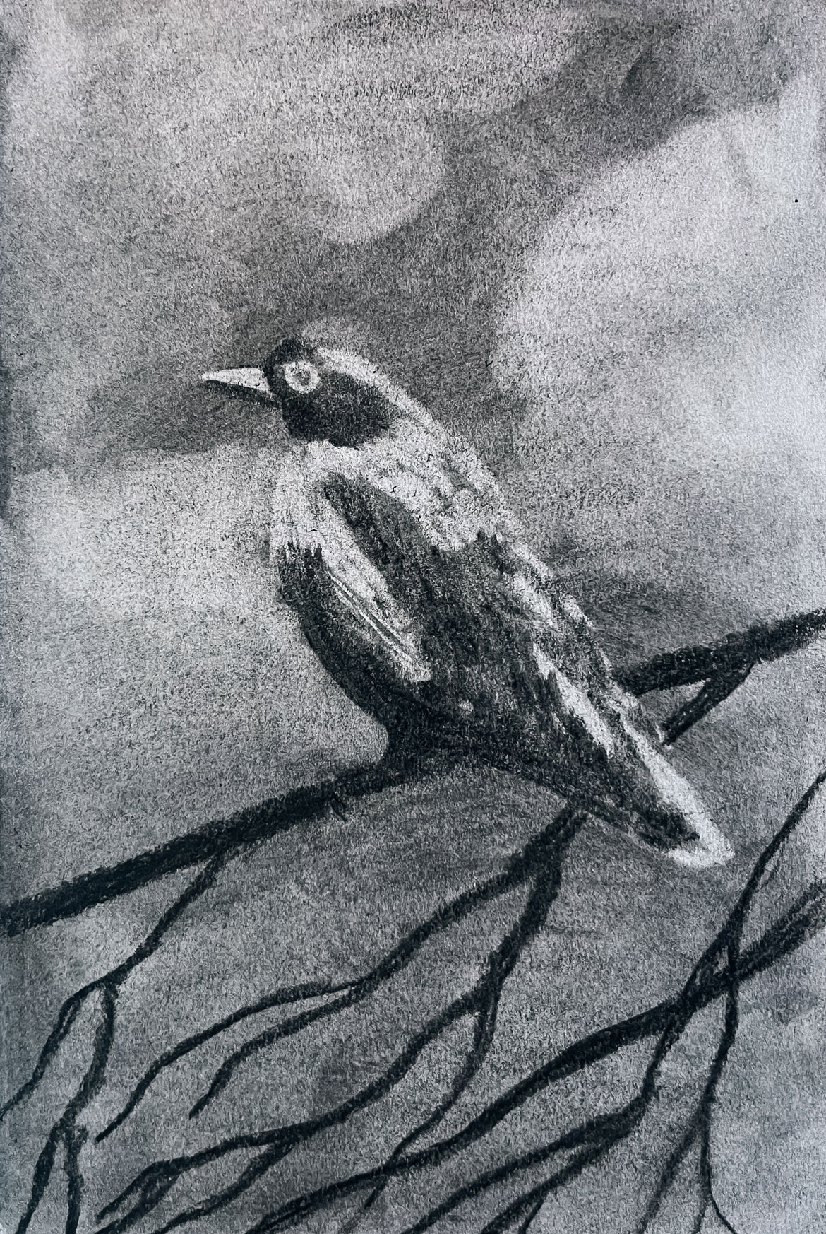 Bird sketch made with charcoal by Anna Polhorodnyk