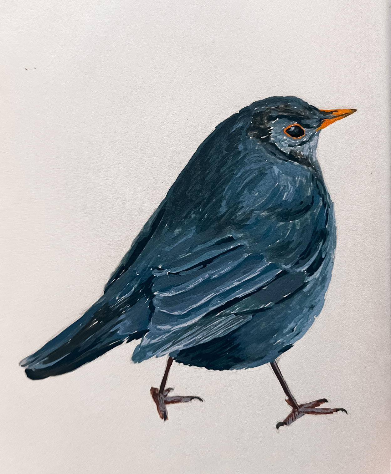Bird sketch made in gouache by Anna Polhorodnyk