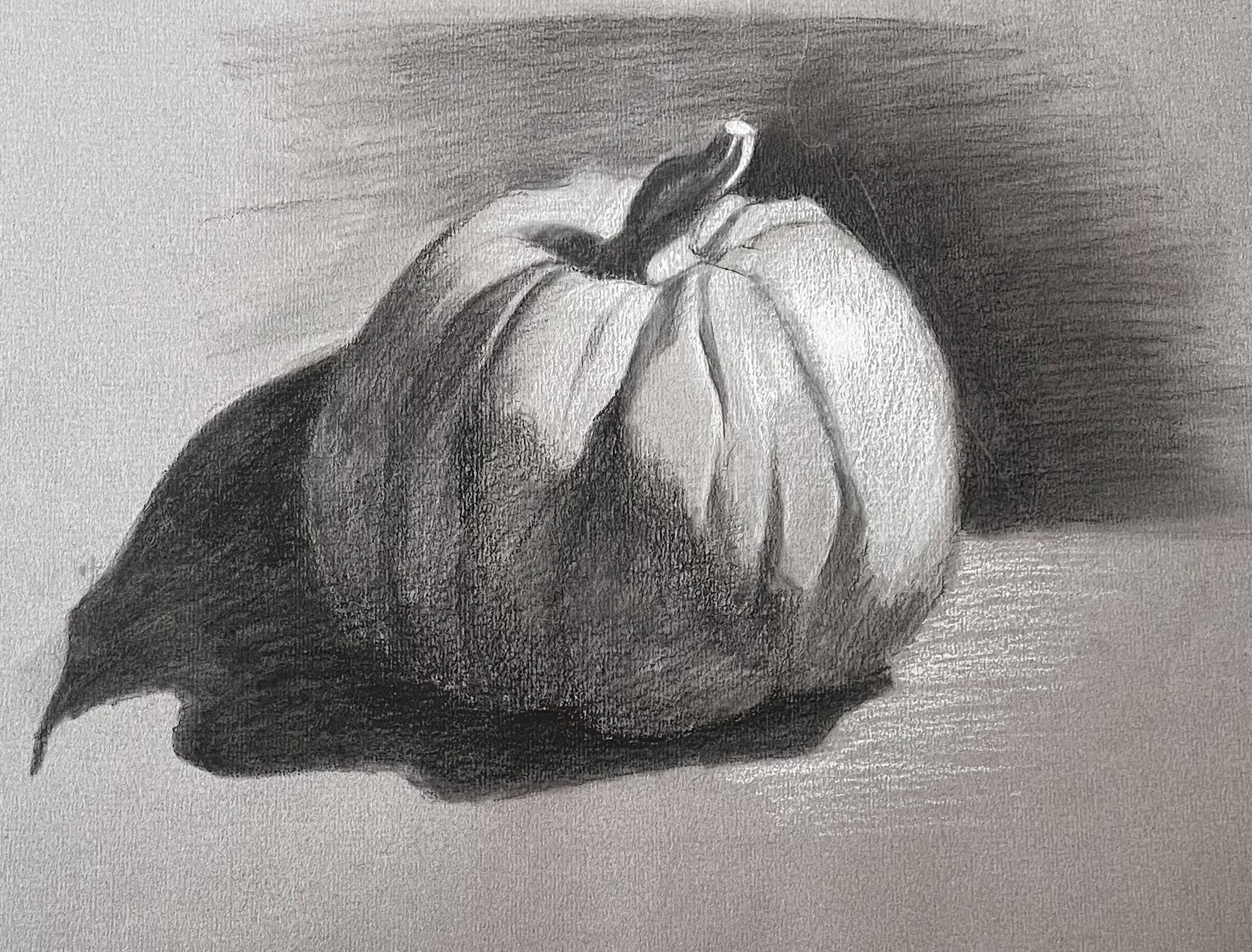 Charcoal drawing created by Anna Polhorodnyk